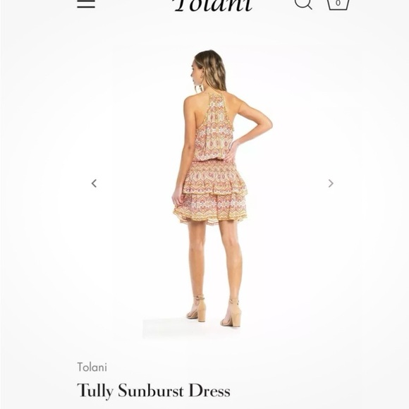 Tolani Tully Sunburst Dress - Picture 3 of 13